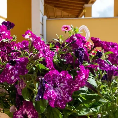 Tatil Evi Corfu Ariti *