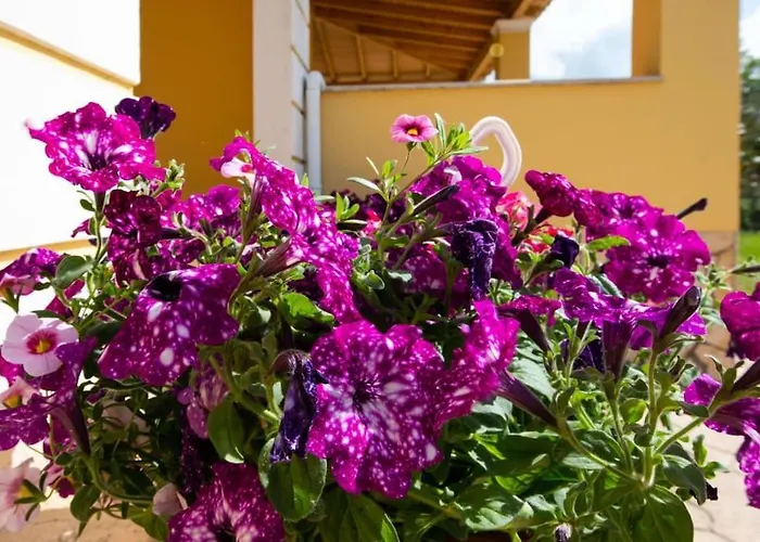 度假居 Corfu Ariti *